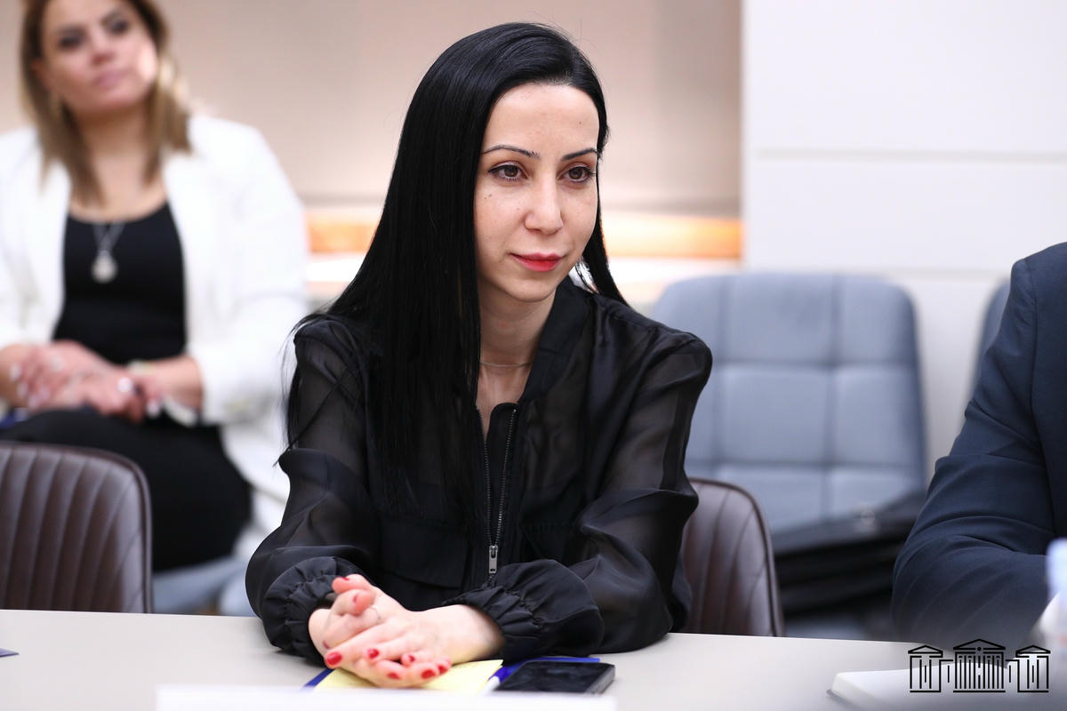 Հարցազրոյց՝ Հայաստանի Ազգային Ժողովի պատգամաւոր Մարիա Կարապետեանի հետ